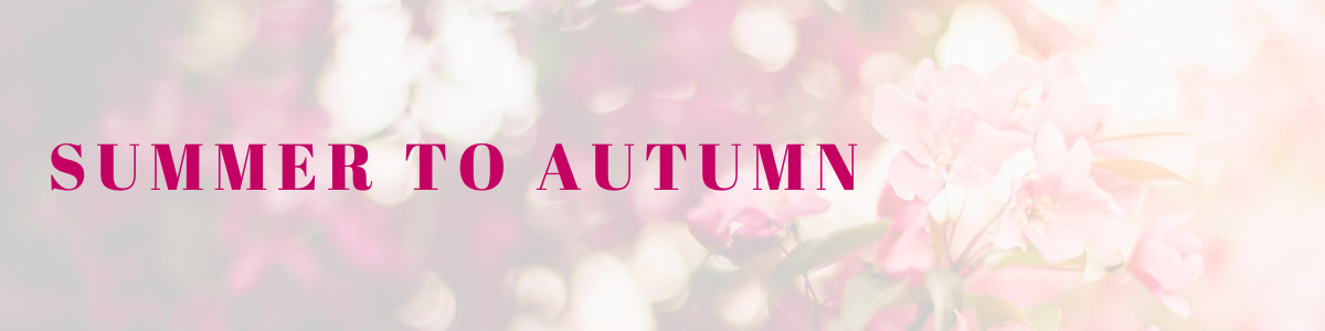 Summer Autumn banner 1